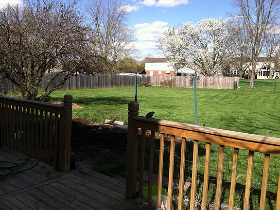left side of back yard