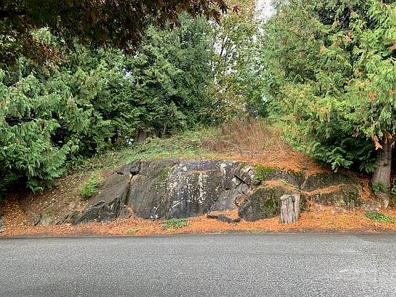 3rd image of 10035 Timberline Pl