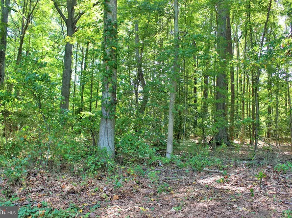 Long Leaf Ln, Leonardtown, MD 20650