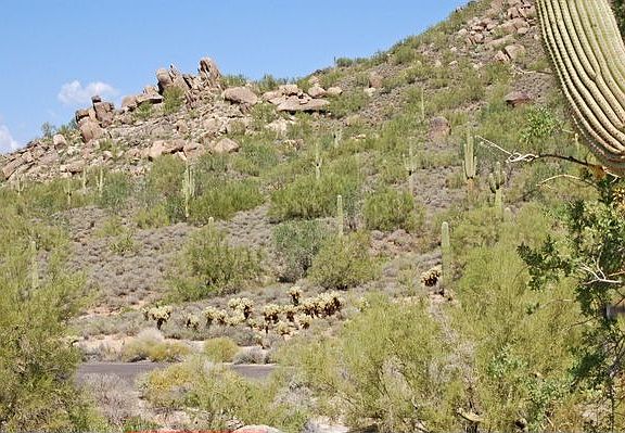 Lone Mountain Vista - 5