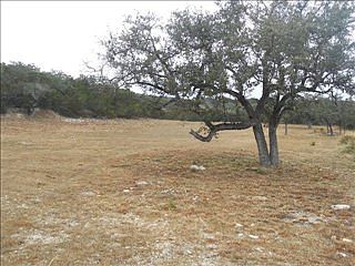 1st image of 2207 Comal Spgs