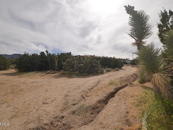 4th image of Vic Avenue Longview #24