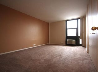 2921 S Michigan Ave APT 106, Chicago, IL 60616