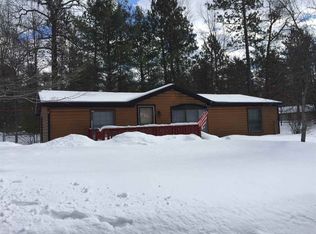 1163 Crawford Ave, Grayling, MI 49738