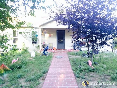 Cute singl. Family. Home