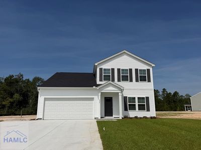 264 Teal Trl NE, Ludowici, GA, 31316