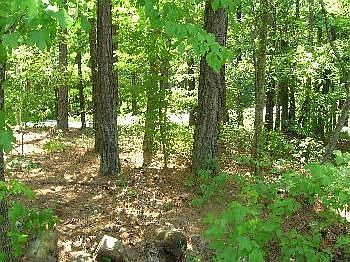 2nd image of 1695 County Rd SW