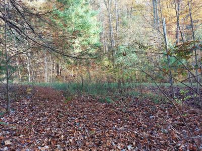 LOT 19 Sugar Maple Way, Del Rio, TN, 37727