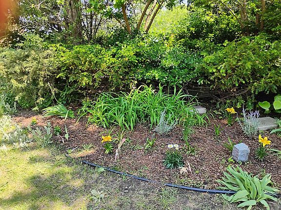 Side garden 2