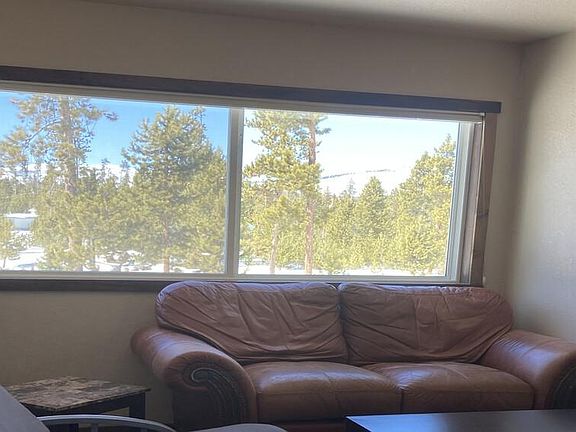 main area window