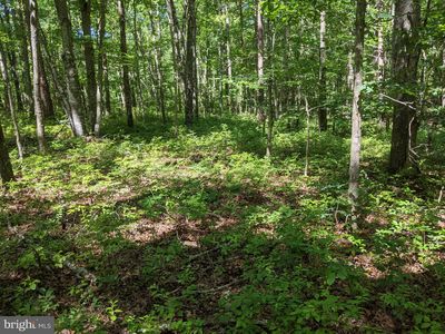 LOT Bunnys Trl #C, Louisa, VA, 23093