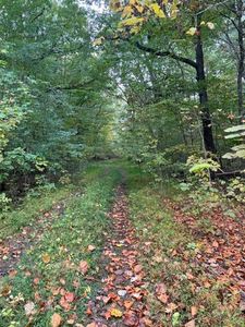 1208 Lee Pl #1213 & 1214, White Pine, TN, 37890