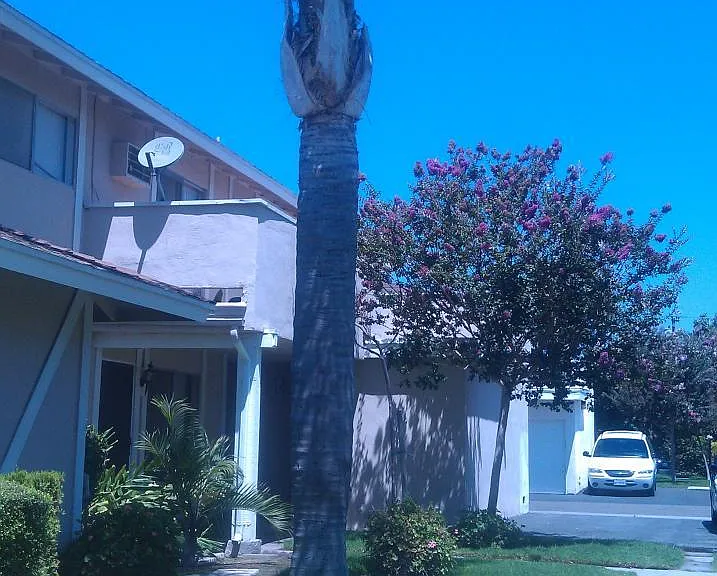 Side of building