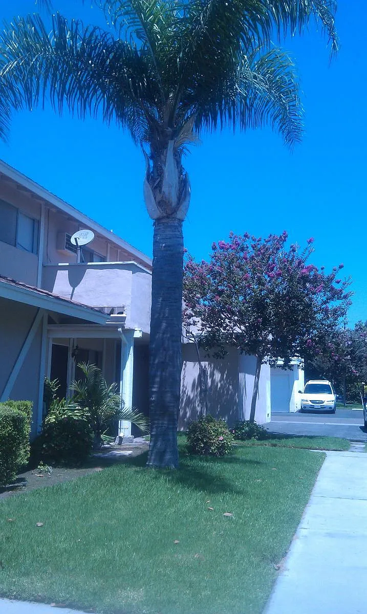 Side of building - 3535 W Cerritos Ave #3