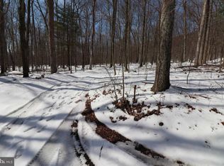 Buck Mountain Rd, Zion grove, PA 17985