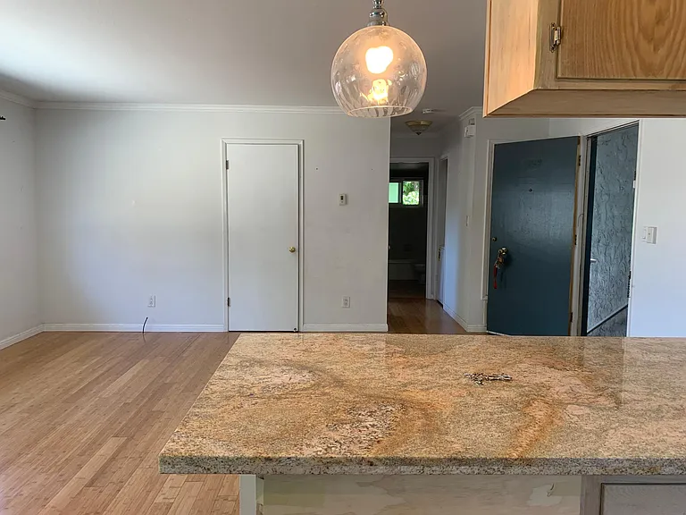 229 Ramona St — Photo 20