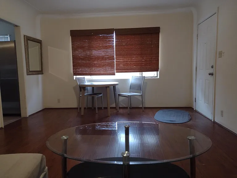 Living room dining table and window