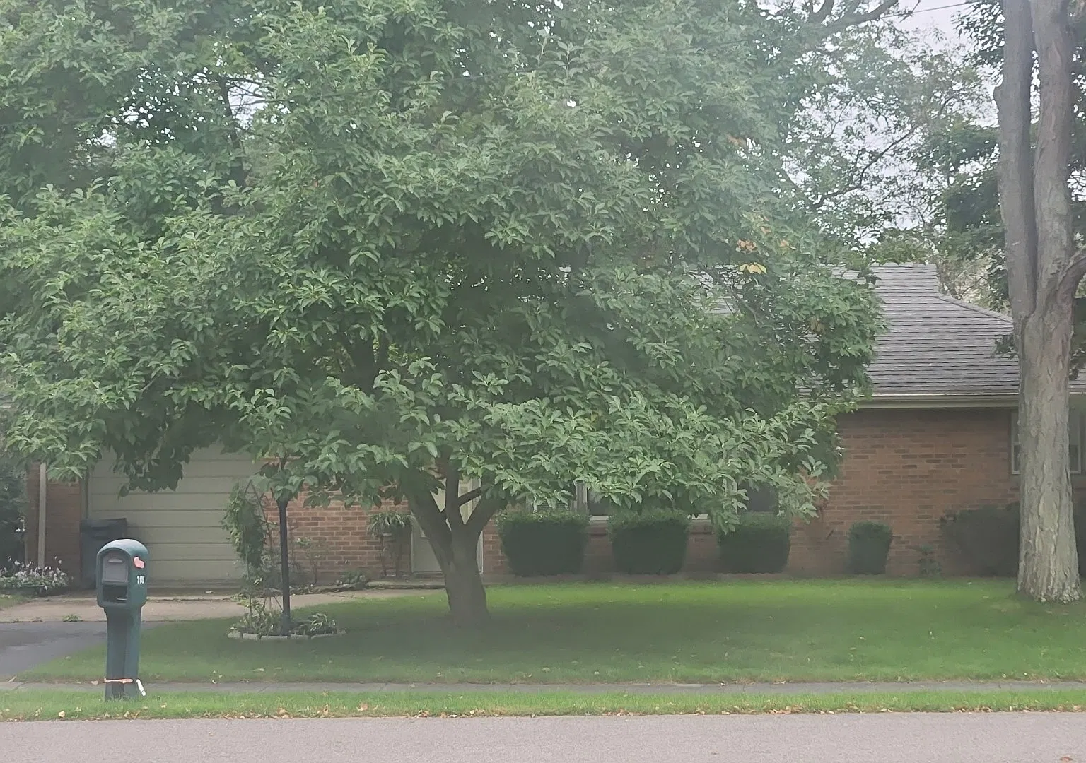 3 bed, 1320 sqft, $1,500 — Photo 1