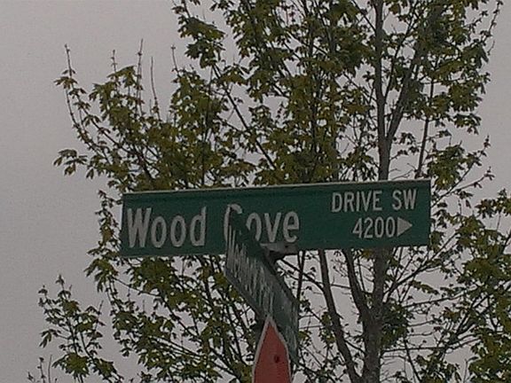 5th image of 4204 Wood Cove Dr