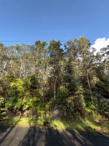 3RD ST, Volcano, HI, 96785