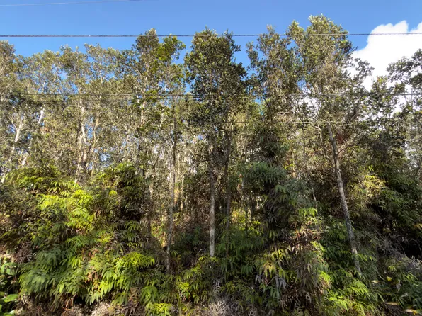 3rd St, Volcano, HI 96785