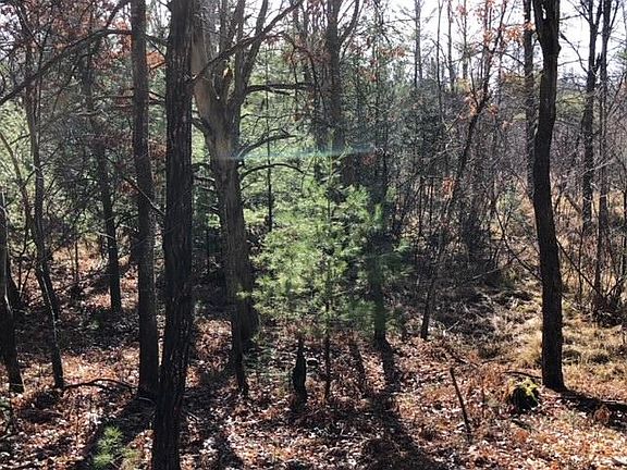 4th image of LOT 108 River Park Dr