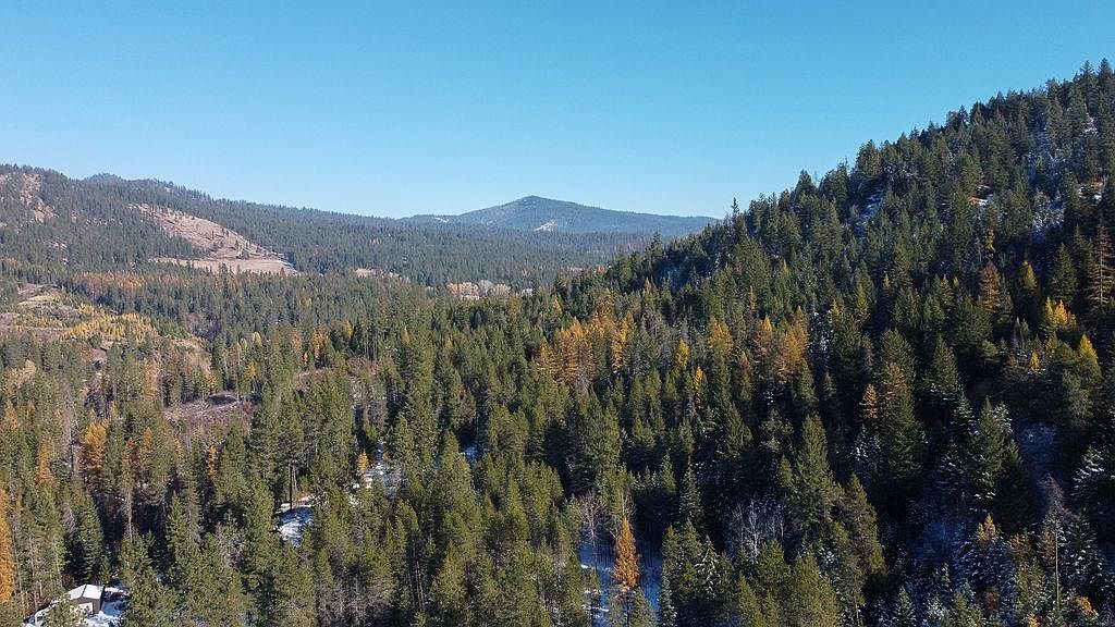 26XX Burnt Valley Rd, Chewelah, WA 99109 MLS 202315136 Zillow