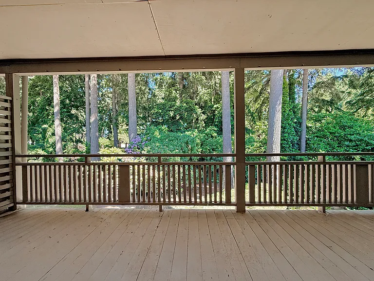 View from the patio and windows.