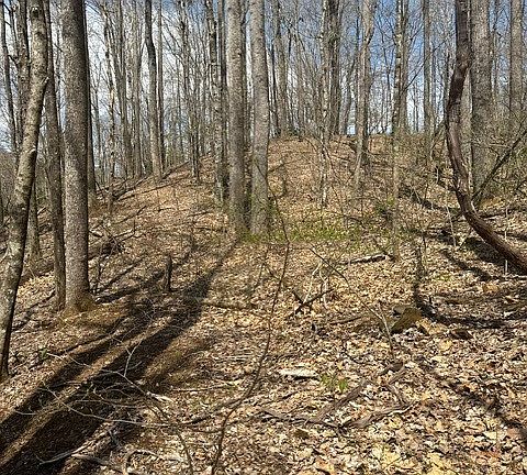 5th image of TBD Bald Mountain Road