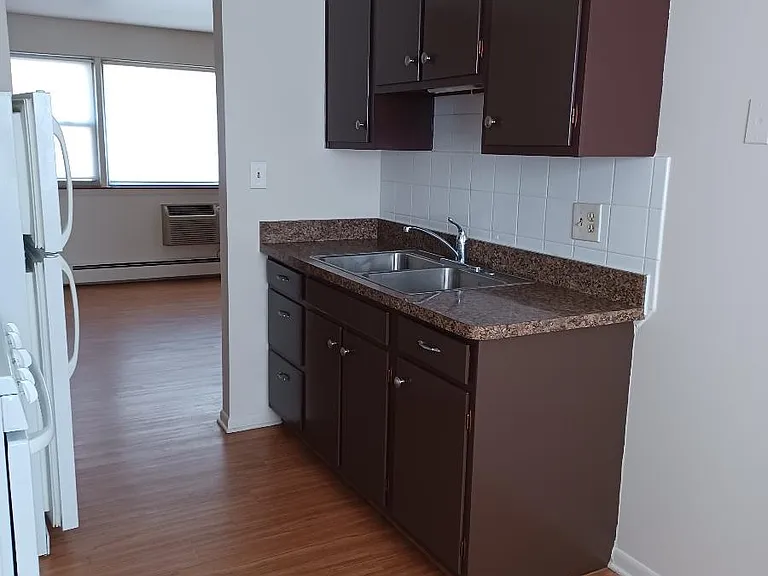 1244 W 87th St #2A — Photo 3