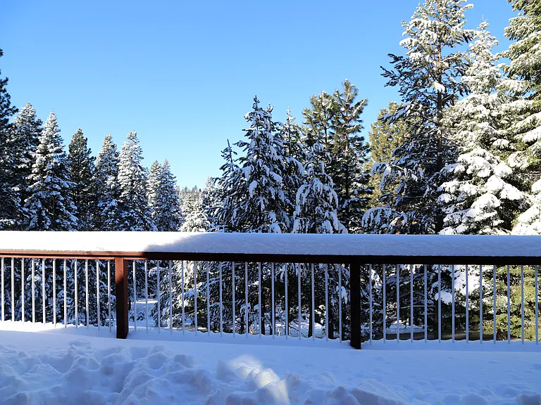12139 Pine Forest Rd — Photo 7