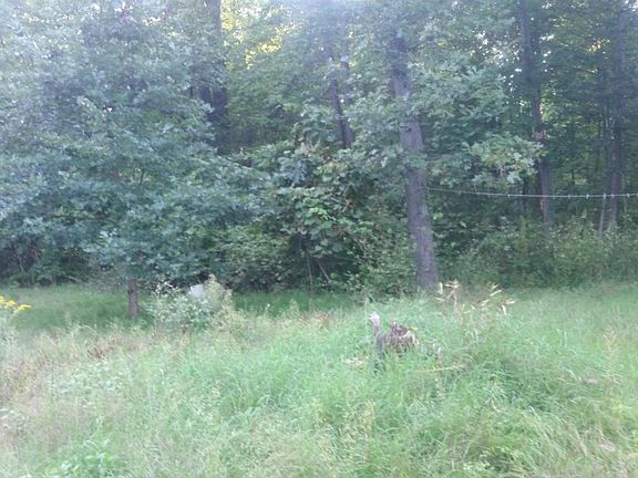 4th image of 5196 52nd St