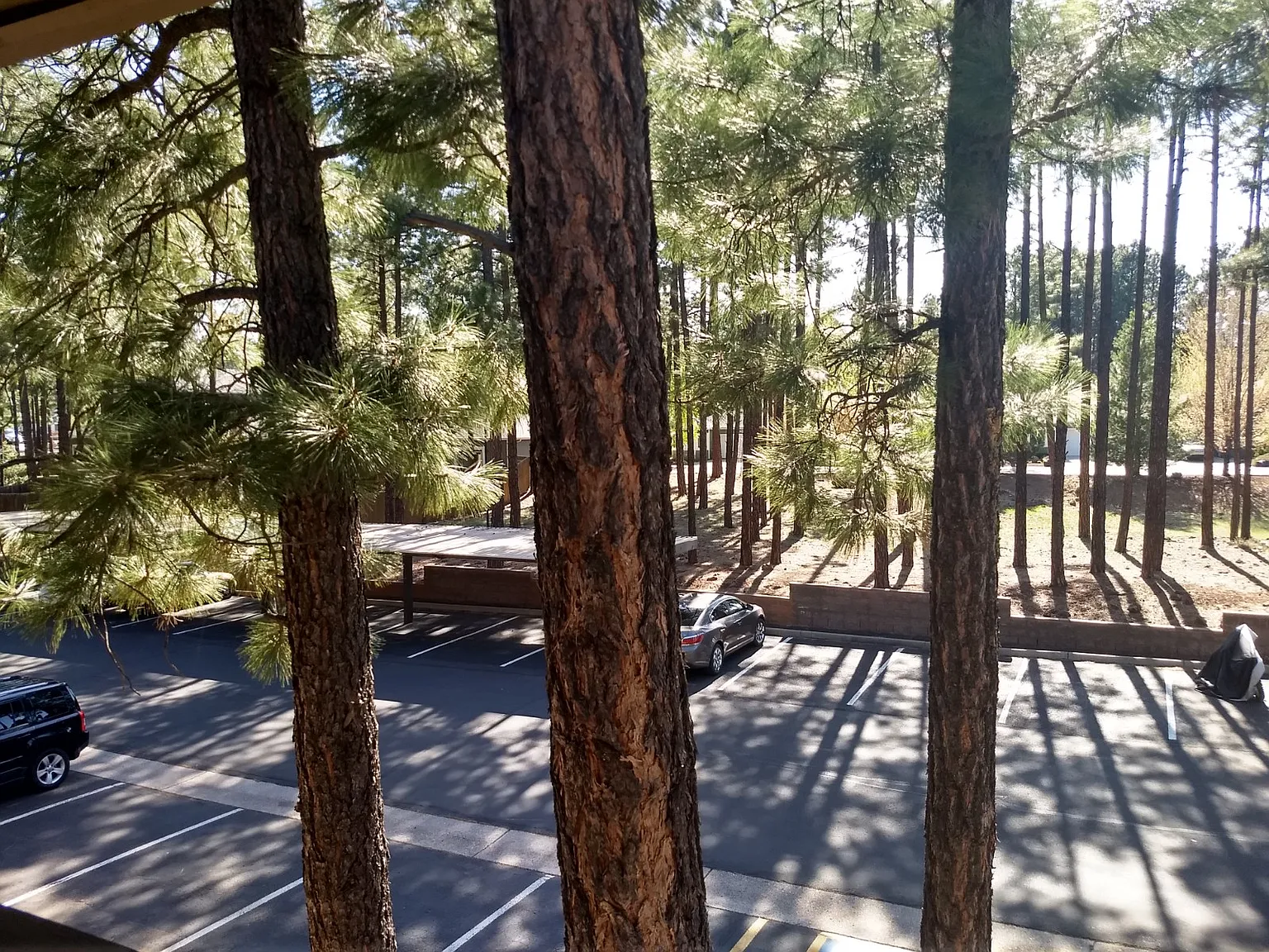 2 bed, 906 sqft, $1,890 — Photo 1