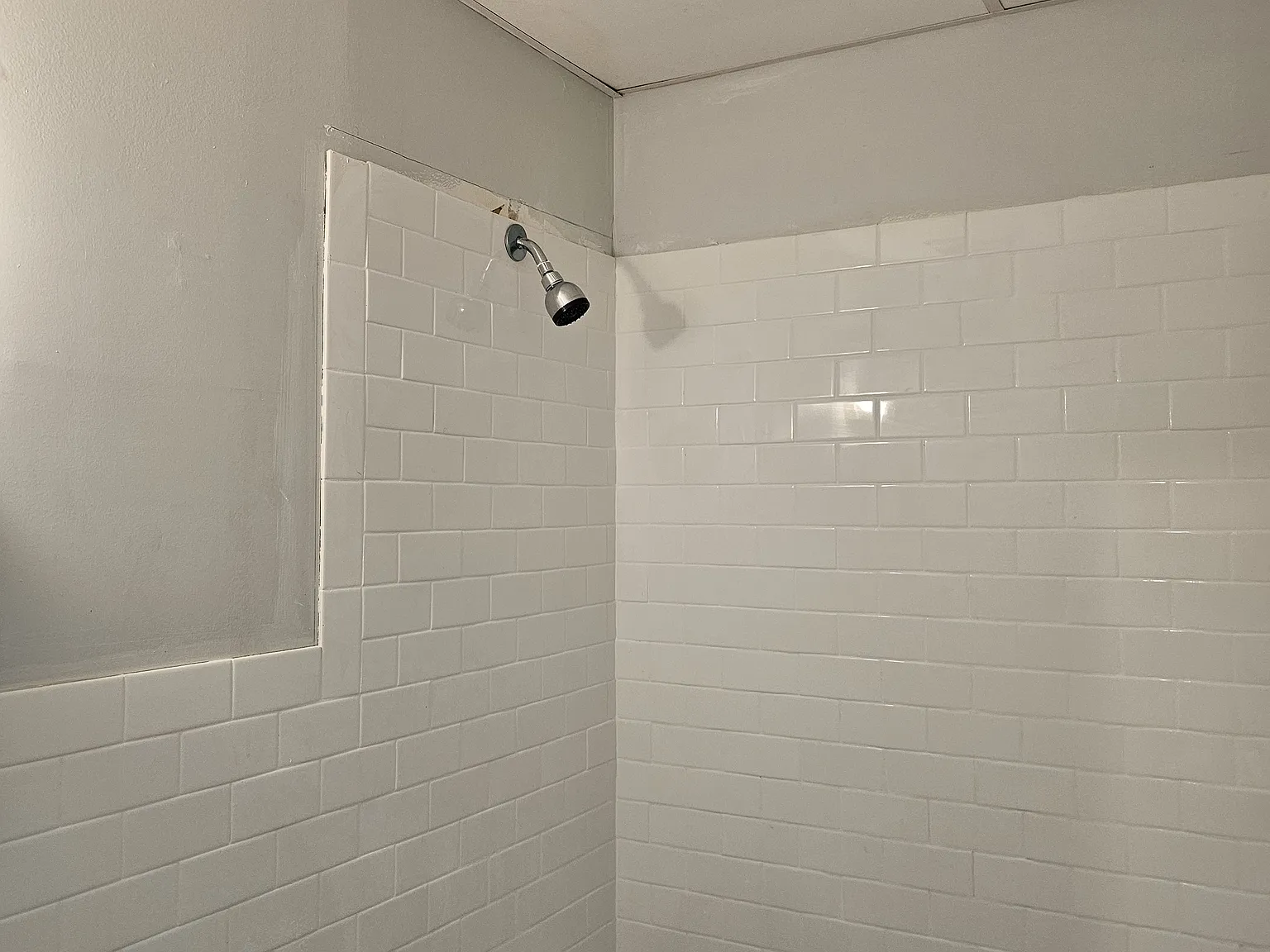 Studio, $900 — Photo 3