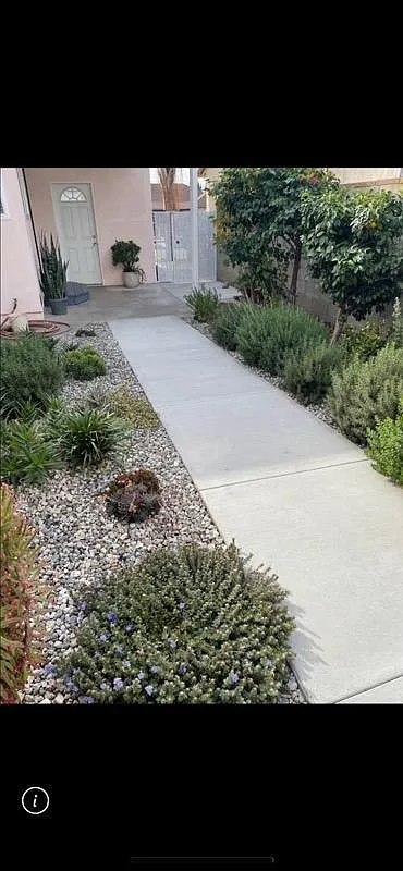 2 bed, 1000 sqft, $2,800 — Photo 3