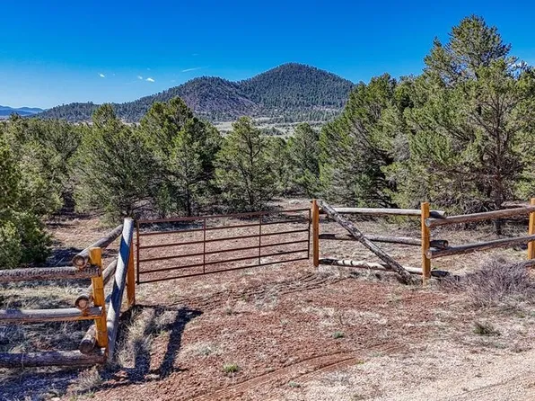 Corral Rd S, Westcliffe, CO 81252