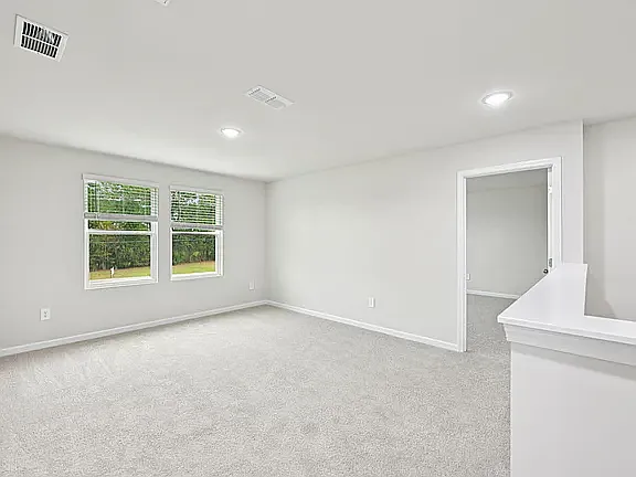 54 White Birch Ln — Photo 29