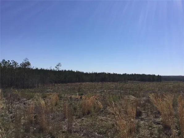 0 Lee Road 254, Salem, AL 36874