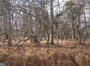 LOT D1922 Old Stage Rd, Albrightsville, PA 18210