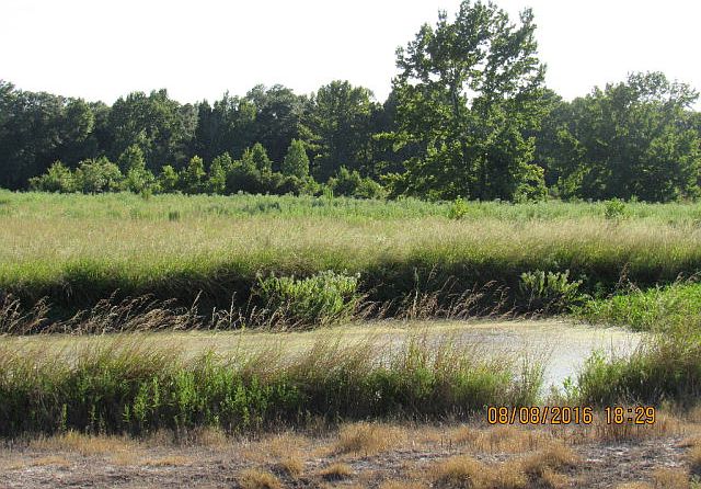 1st image of 290 F County Road 300