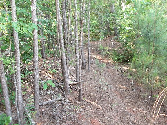 Rolling and treed view