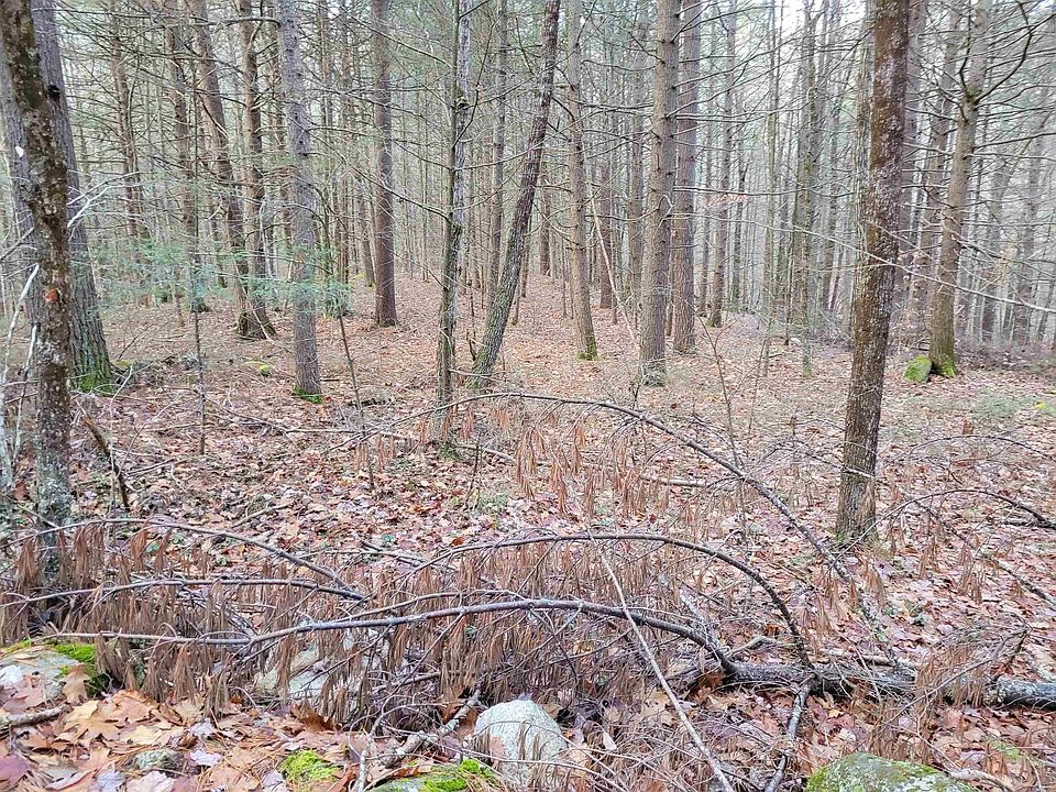 2nd image of 0 Lang Road