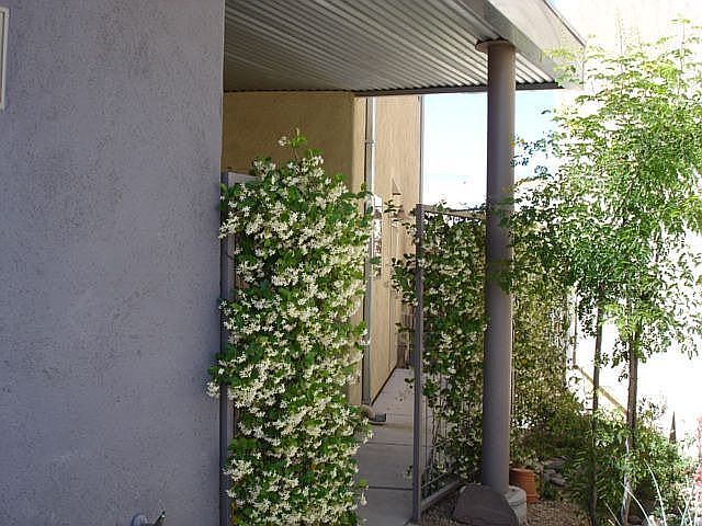 Outside Courtyard Area