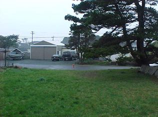 Dolphin, Rockaway Beach, OR 97136