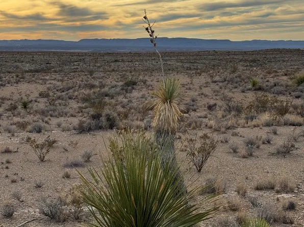 4838 Private Rd, Terlingua, TX 79852