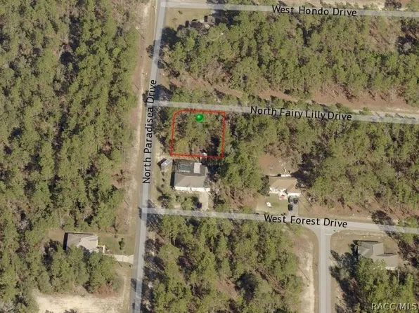 9309 N Fairy Lilly Dr, Citrus Springs, FL 34433