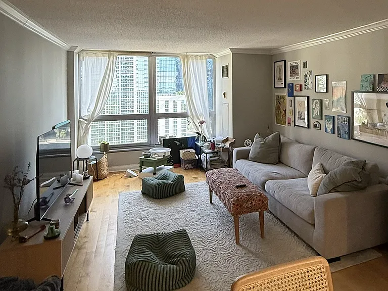360 E Randolph St #1406 — Photo 6