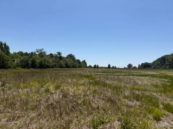 1775 County Road 575, Poplar Bluff, MO 63901