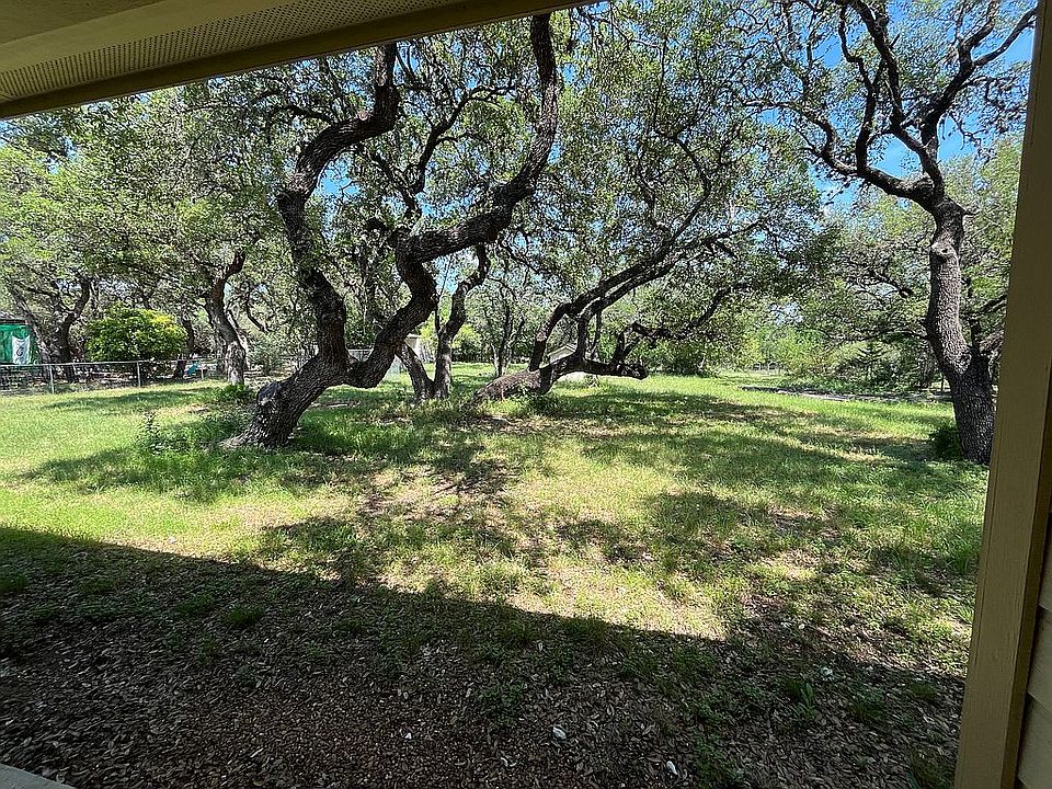 Large Back Yard Oak Trees