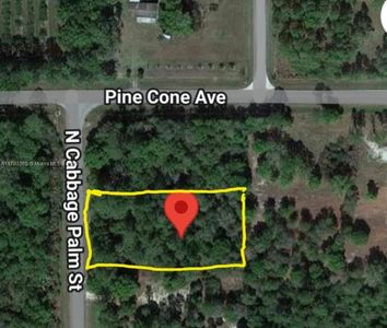 875 N Cabbage Palm St, Clewiston, FL, 33440